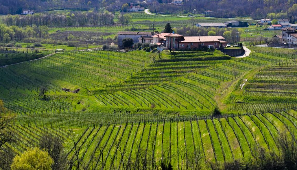 Les Domaines Ruraux & Vignobles