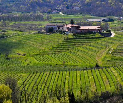Les Domaines Ruraux & Vignobles